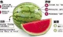 郫县网红吃瓜群微信,揭秘网络社交圈的趣味与争议